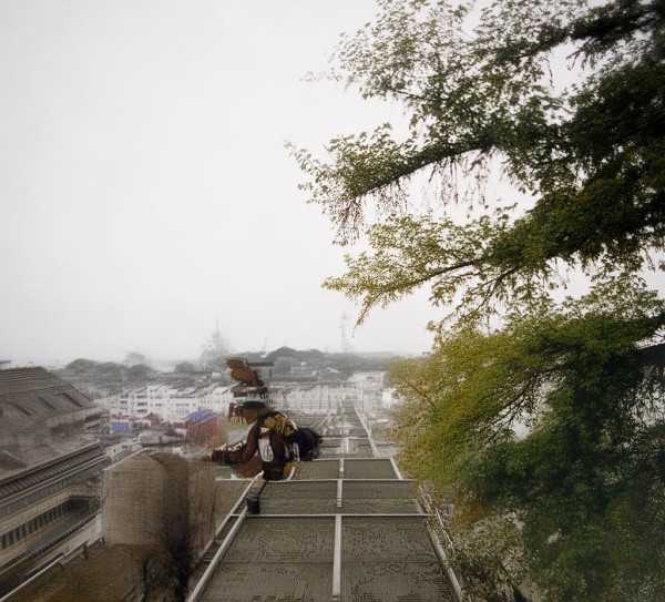 梨花再开放粤语版，岁月流转，情怀永恒的旋律故事