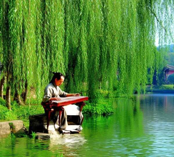 探寻江南韵律，歌曲祖国的好江南简谱解析与视听之旅